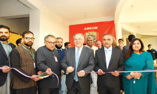 US executed projects worth over $1bn in KP: ambassador