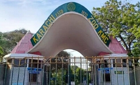 Noor Jehan being treated for joint pain at Karachi Zoo