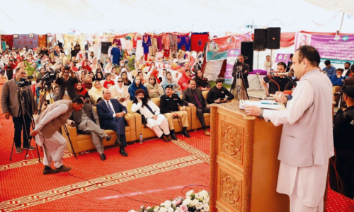 AJK PM castigates civil servant, his backers