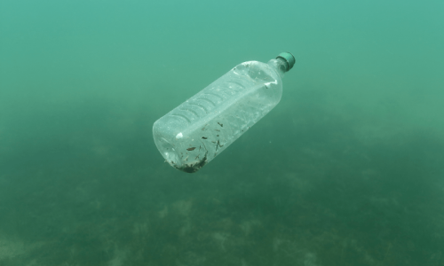 Plastic entering oceans could triple by 2040 if left unchecked: study
