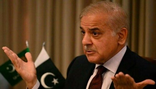 Shehbaz lays IMF delay blame at Imran&rsquo;s door