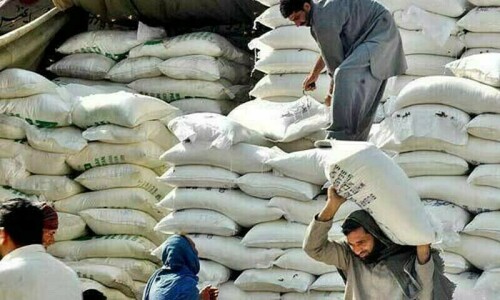 Points set up for distribution of free wheat to citizens Points set up for distribution of free wheat to citizens