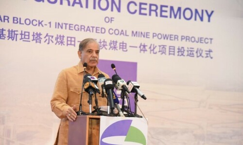 ‘Desert to see economic boom’: PM Shehbaz inaugurates 1,650MW coal-fired power plants in Thar ‘Desert to see economic boom’: PM Shehbaz inaugurates 1,650MW coal-fired power plants in Thar
