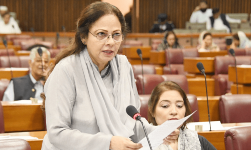 Progress made on financing pledges from friendly countries, Senate panel told