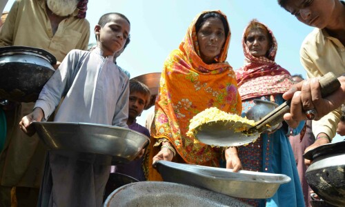 Pakistan&rsquo;s food security at stake: PKI