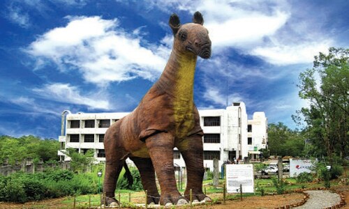 Insight; Can extinct animals be brought back to life?