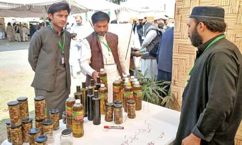 Growers advised to use modern technology