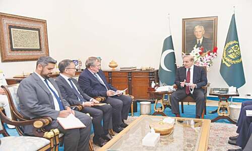 PM orders formation of support team to execute Reko Diq project