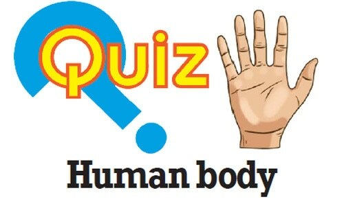 Quiz
