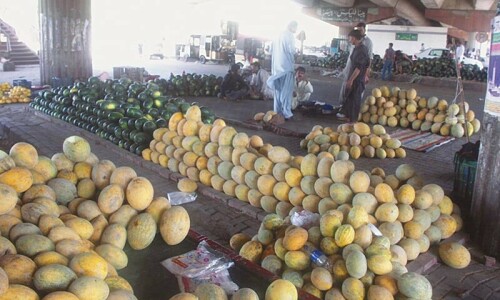 Rain-ridden farmers selling watermelon at throwaway prices