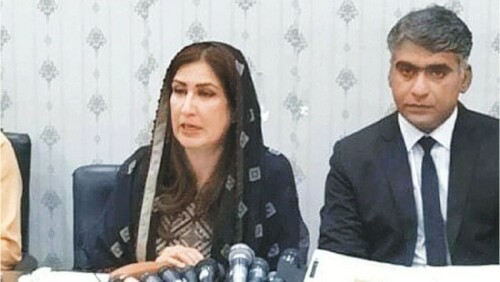 Minister accuses Sindh police of failing to stop kidnapping of girls