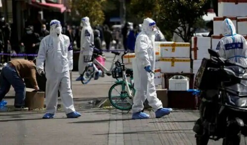 China records world’s first human death from H3N8 bird flu: WHO China records world’s first human death from H3N8 bird flu: WHO