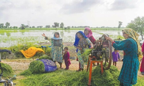 Punjab has not formally recognised role of women farm workers: FAO
