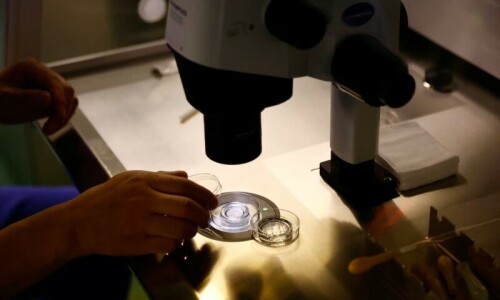 China to allow fertility treatment for single women to stem population fall China to allow fertility treatment for single women to stem population fall