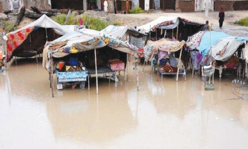 Agriculture: Sufferings caused by climate change