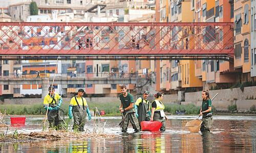 Fish rescued from dried-out river as drought, torrid heat hit Spain