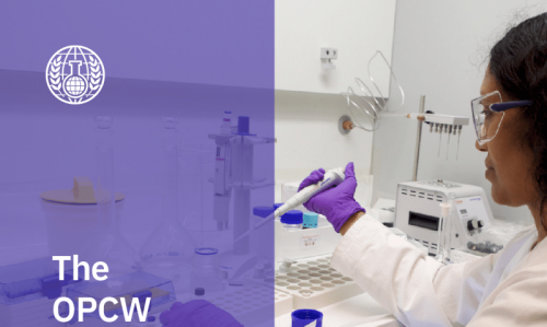 Declared chemical arms to be destroyed soon: watchdog