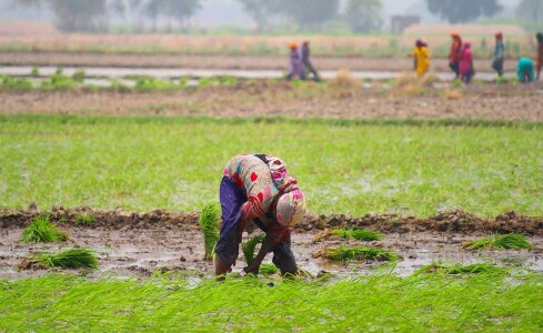 Enhancing farmers&rsquo; market power