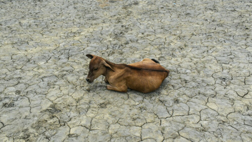 Next five years set to be hottest period ever: UN Next five years set to be hottest period ever: UN