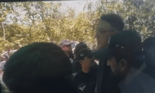 15 days after his arrest, IHC orders release of PTI’s Asad Umar 15 days after his arrest, IHC orders release of PTI’s Asad Umar