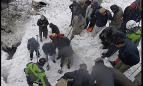 At least 11 reported dead, 13 injured in Astore avalanche in GB: disaster management authority At least 11 reported dead, 13 injured in Astore avalanche in GB: disaster management authority