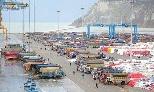 Gwadar given special economic district status