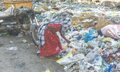 National action plan sought on plastic waste