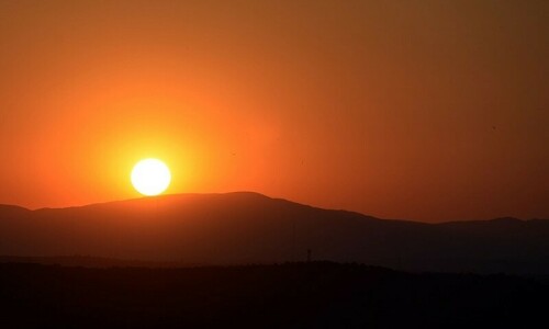 Amnesty calls for global action as extreme heat waves wreak havoc on human rights