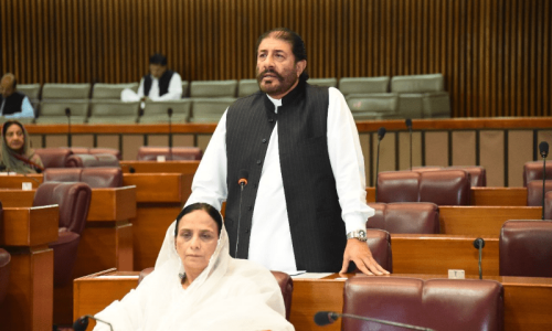 PPP gives govt flak over budget promises