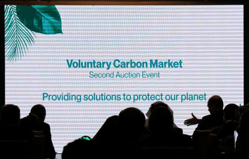 Carbon credits auction for Pakistan oversubscribed