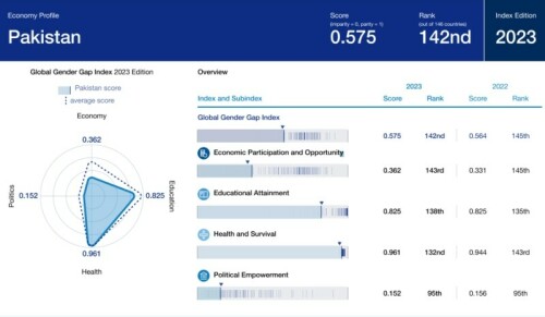 Pakistan ranks 142 out of 146 countries in WEF&rsquo;s global gender gap report
