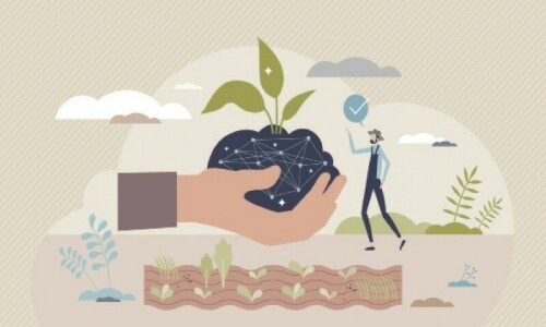 Agriculture: Breaking down Sindh’s agri budget Agriculture: Breaking down Sindh’s agri budget