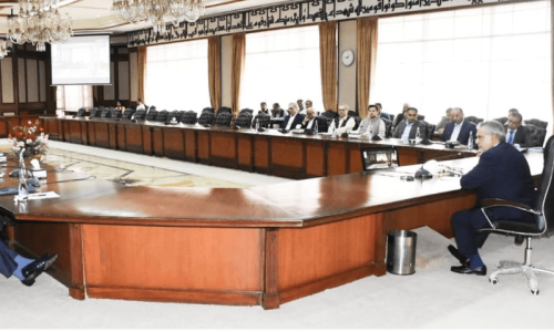 ECC allows petroleum imports on suppliers&rsquo; credit