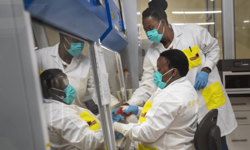 Over $200bn potentially stolen from US Covid relief programmes, watchdog says Over $200bn potentially stolen from US Covid relief programmes, watchdog says