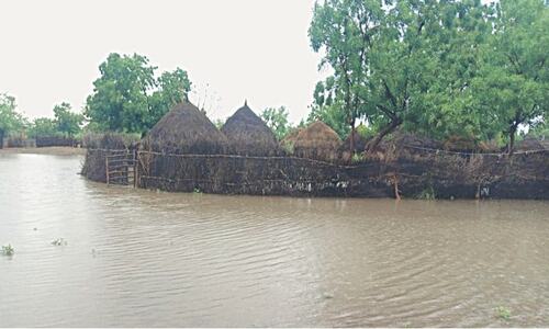 Tharparkar, Umerkot districts receive &lsquo;record&rsquo; June rainfall