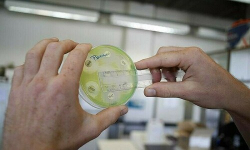 KP health experts call for vaccination to control growing typhoid cases