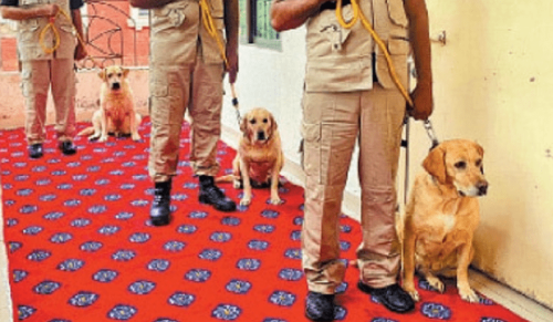 Police sniffer dogs get new life after policy change in Punjab