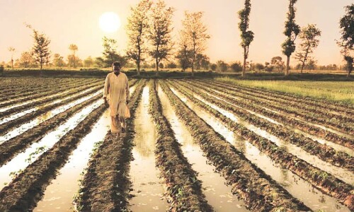 No agri revolution without population control: experts No agri revolution without population control: experts