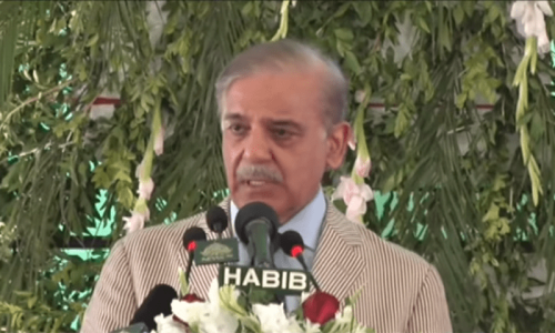 PM Shehbaz breaks ground on Chashma-5 nuclear power plant, asserts default &lsquo;completely averted&rsquo;