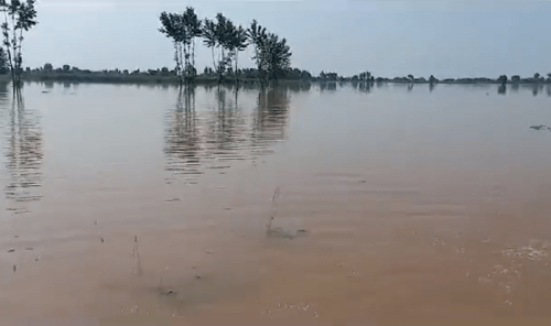 Flood water likely to fall in Sutlej river: PMD Flood water likely to fall in Sutlej river: PMD