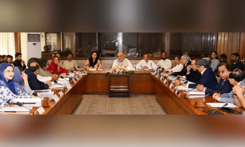 Parliamentary panel recommends putting PFF NC chief&rsquo;s name on ECL