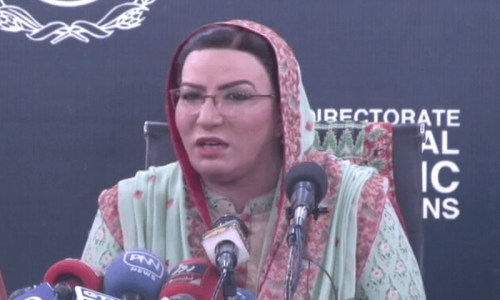 Falcon will be symbol of IPP: Firdous