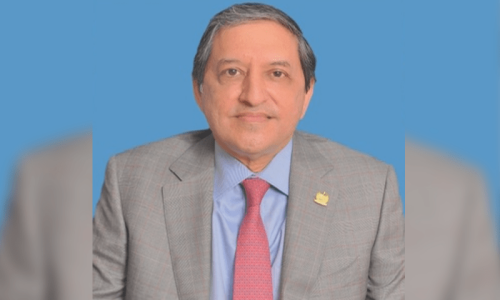 آئی ایم ایف کو وقت پر انتخابات کے انعقاد کے حوالے سے تحفظات تھے، سلیم مانڈوی والا