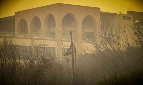 Greece fears high winds will fan Rhodes wildfire