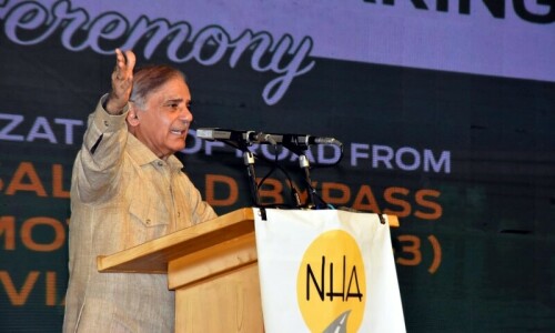 PM Shehbaz urges voters to &lsquo;avenge&rsquo; PML-N&rsquo;s 2018 electoral defeat