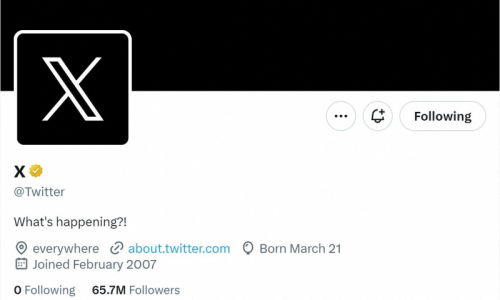 Twitter website replaces bird logo with X