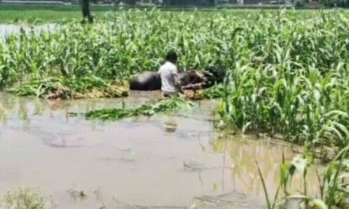 Flood sweeps Indian man into Pakistan