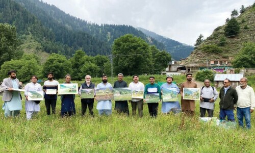 Artists capture fascinating landscapes of Naran on canvas