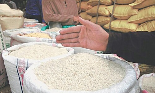 Rice exports earn Pakistan $2.1bn in tumultuous FY23