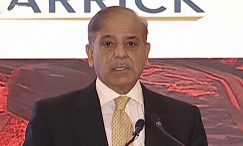 &lsquo;War not an option&rsquo;: PM Shehbaz says ready to talk to &lsquo;neighbour&rsquo; on serious matters